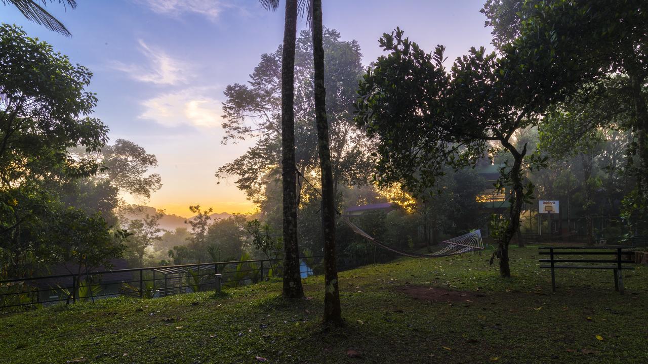 Letstay Adithya Nature Resort & Spa Vythiri Exterior photo